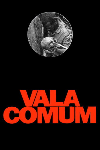 Vala Comum movie poster