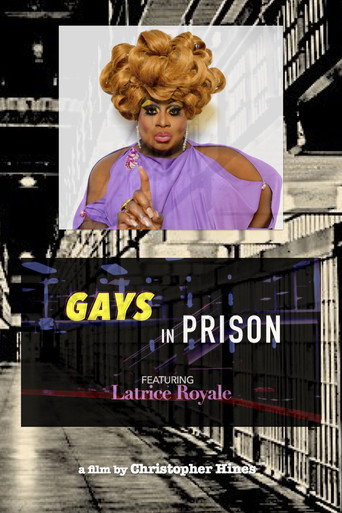 Gays in Prison movie poster