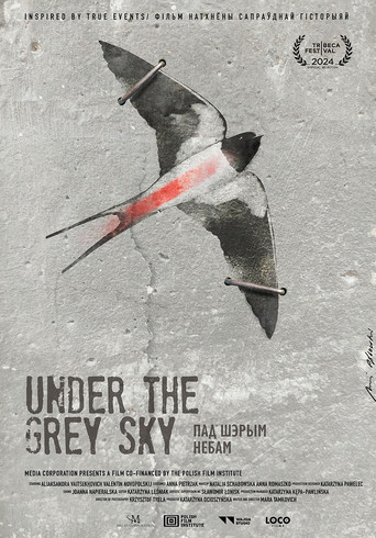 Under the Grey Sky movie poster