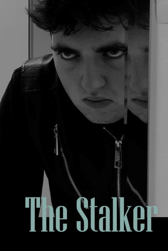 The Stalker movie poster