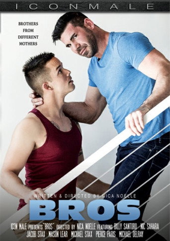 Bros movie poster