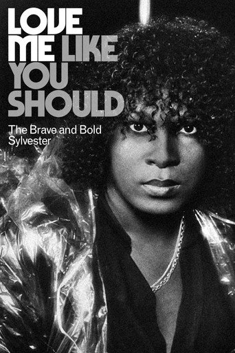 Love Me Like You Should: The Brave and Bold Sylvester movie poster