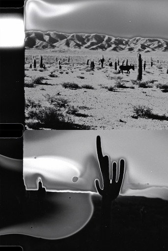 Desert Series II – Payogasta movie poster
