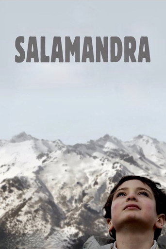Salamander movie poster