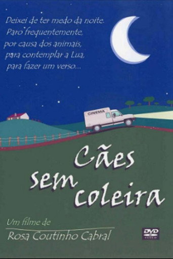 Cães Sem Coleira movie poster