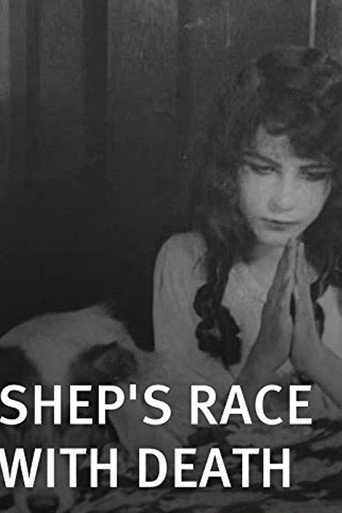 Shep's Race with Death movie poster
