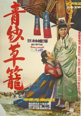 A Red-and-blue Gauze Lantern movie poster