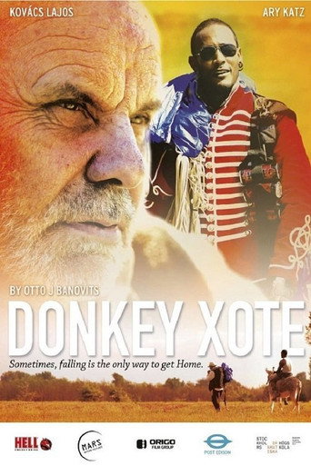 Donkey Xote movie poster