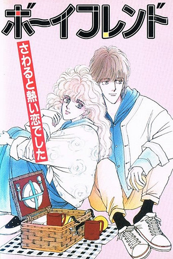 Boyfriend movie poster