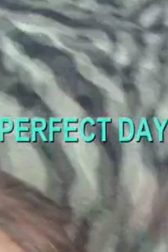 Perfect Day movie poster