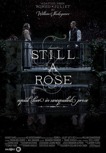 Still a Rose movie poster