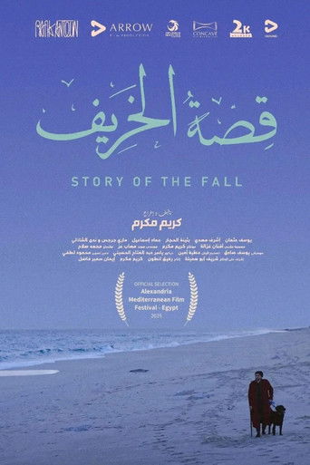 Story of the Fall movie poster