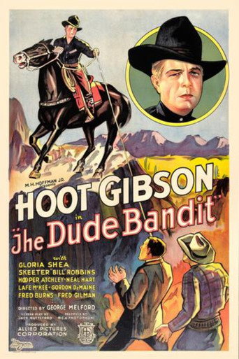 The Dude Bandit movie poster