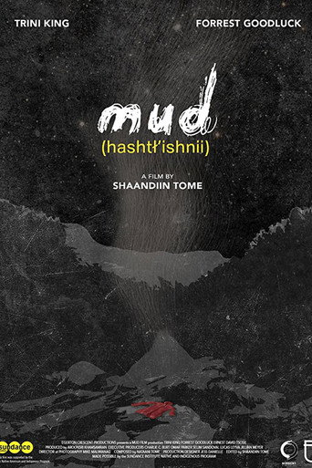 Mud movie poster