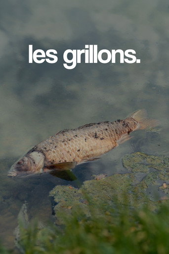 les grillons. movie poster