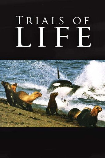 The Trials of Life movie poster
