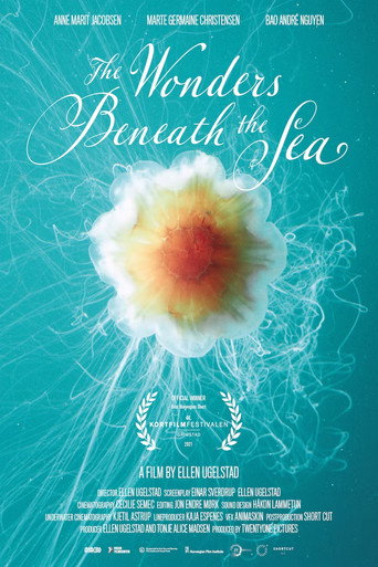 The Wonders Beneath the Sea movie poster