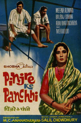 Pinjre Ke Panchhi movie poster