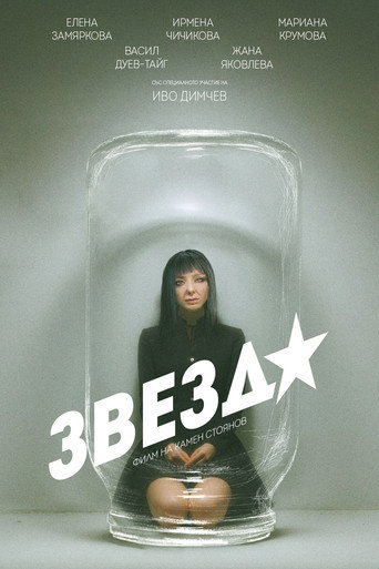 Zvezda movie poster