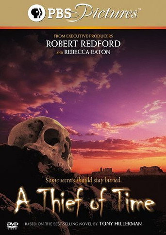 A Thief Of Time movie poster