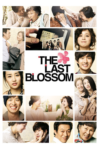 The Last Blossom movie poster