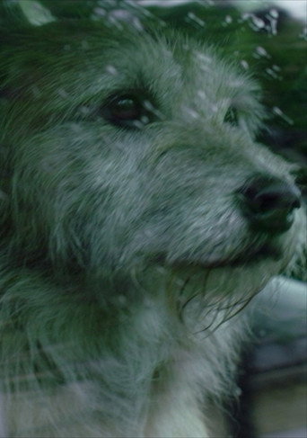 Doggone movie poster