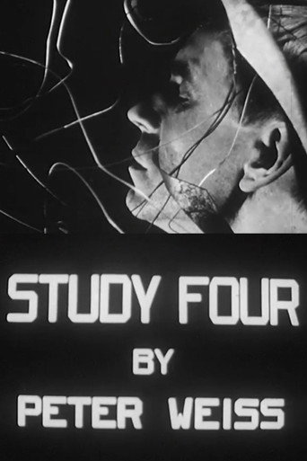 Study IV: Liberation movie poster