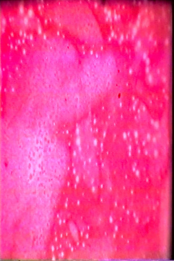 Space Cat movie poster