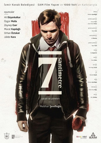 7 Centimeters movie poster