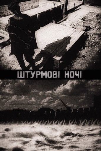Night Raids movie poster