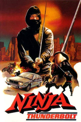 Ninja Thunderbolt movie poster