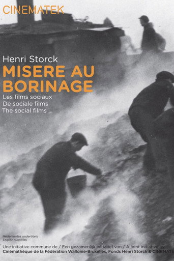 Borinage movie poster