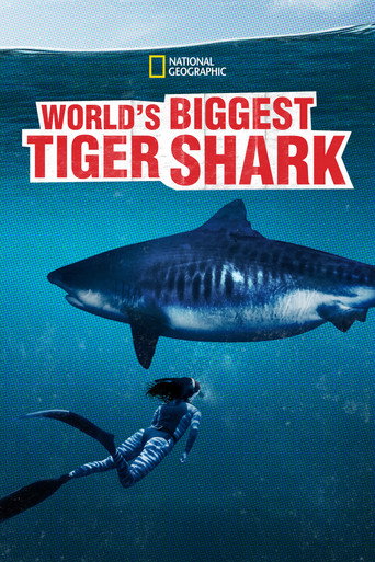 World's Biggest Tiger Shark movie poster