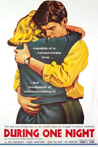During One Night movie poster