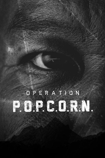 Operation Popcorn movie poster