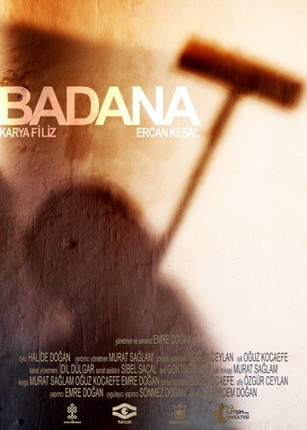 Whitewash movie poster