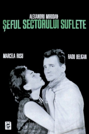 Chief of the Souls Sector movie poster