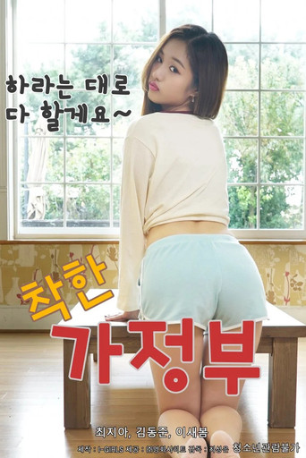 A Nice Housekeeper movie poster