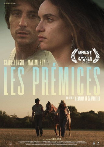 The Beginnings movie poster