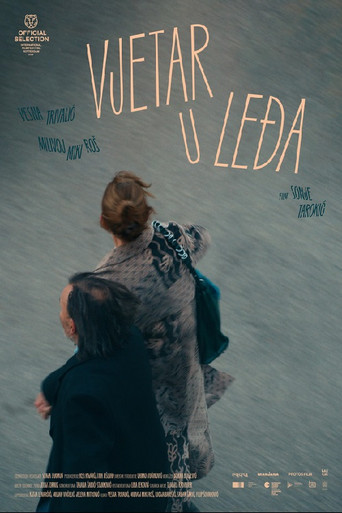 Wind Beneath the Wings movie poster