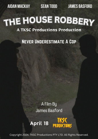The House Robbery movie poster