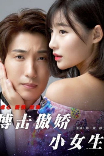 搏击傲娇小女生 movie poster