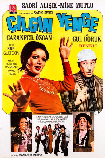Çılgın Yenge movie poster