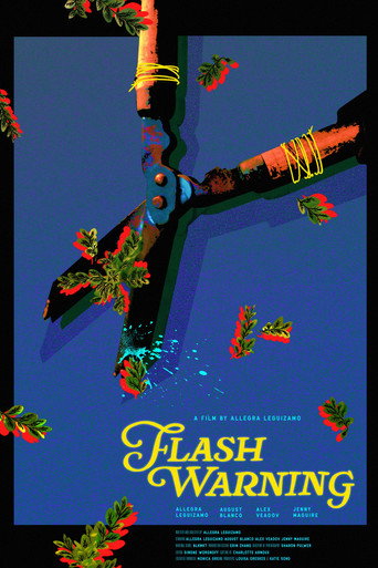 Flash Warning movie poster