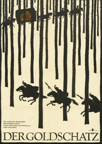 Comoara movie poster