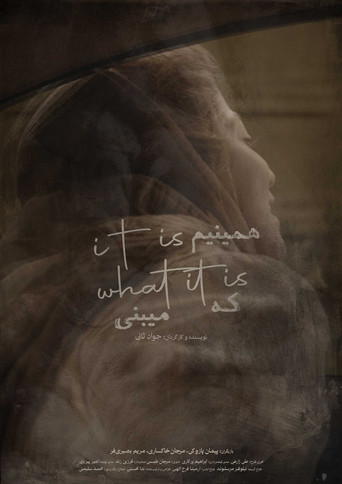 it is what it is movie poster