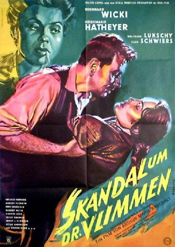 Tierarzt Dr. Vlimmen movie poster