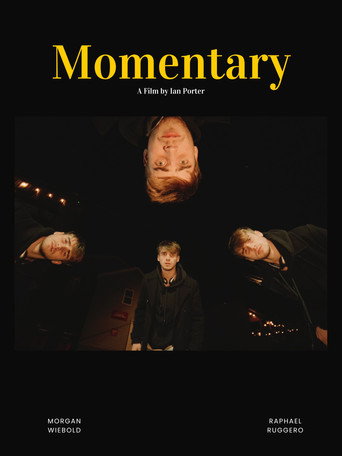 Momentary movie poster