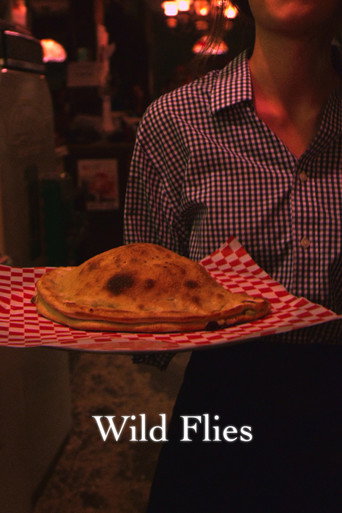 Wild Flies movie poster