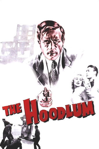 The Hoodlum movie poster